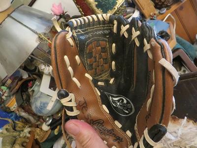 Rawlings Youth Players 9in Glove