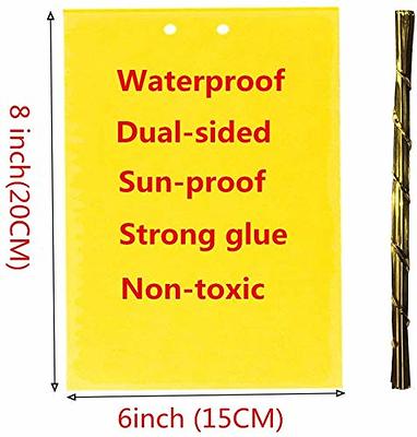 Dual-Sided Yellow Sticky Gnat Traps Indoor/Outdoor Insect Fungus Gnats,  Whiteflies, Aphids, Leaf Miners,Thrips(20-Count)