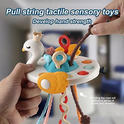 LZZAPJ Sensory Toys for Toddlers 1-3, Montessori Toys for 1 Year Old,  Infant Swan Pull String Car Seat Toys for Travel, Teething Toys for Babies  6-12 Months First Birthday Gift for Baby. - Yahoo Shopping