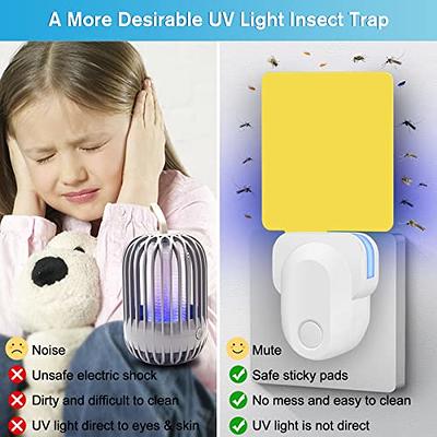 VEYOFLY Fly Trap, Plug in Flying Insect Trap, Fruit Fly Traps for  Indoors-Safer Home Indoor- Bug Light Indoor Plug in- Mosquito,Fruit Fly,  Gnat Trap