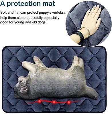  JoicyCo Large Dog Bed Crate Mat 42 in Washable Pet Beds Soft Dog  Mattress Non-Slip Kennel Mats,Grey L : Pet Supplies