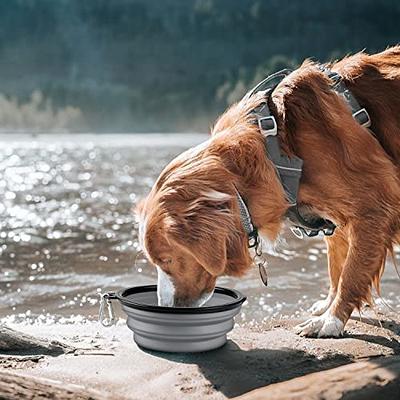 4 Pack Dog Bowls Collapsible,Portable and Foldable Pet Travel Bowls for  Dogs Cats Feeding Water Bowl Dish,with Carabiners Blue+Green+light  Blue+light Green