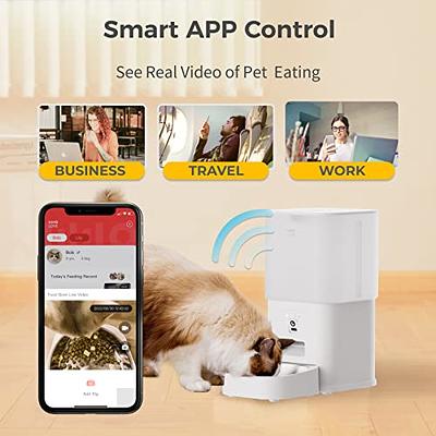 PATPET 4L Smart Timed Automatic Cat Feeders of 6 Meals with Voice Recorder and Support Dual Power PATPET