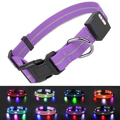 Illumiseen LED Dog Collar USB Rechargeable Bright & High Visibility