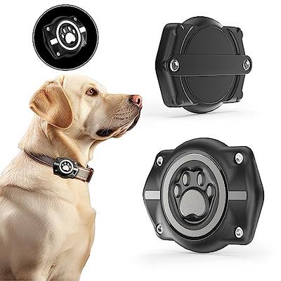Encased Airtag Dog Collar Holder and Case