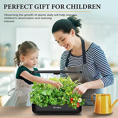 Indoor Herb Garden Starter Kit - Cooking Gifts for Women Gardener