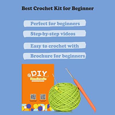 nicedepot Crochet Kit for Beginners, Learn to Crochet with Crochet