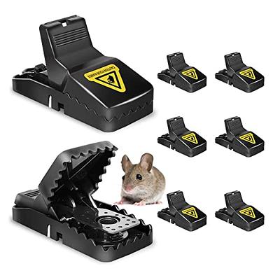 Zfyoung Mouse Traps, Mice Traps for House, Small Mice Trap Indoor Quick  Effective Sanitary Safe Mousetrap Catcher for Family and Pet - 6 Pack  (Mouse