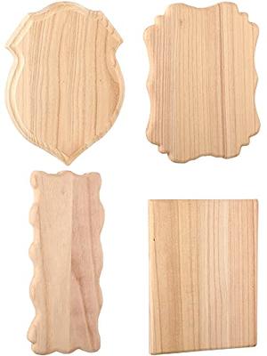 12pcs Unfinished Wood Crafts Blanks Wood Ornaments Plaques Blank Wooden  Signs for DIY