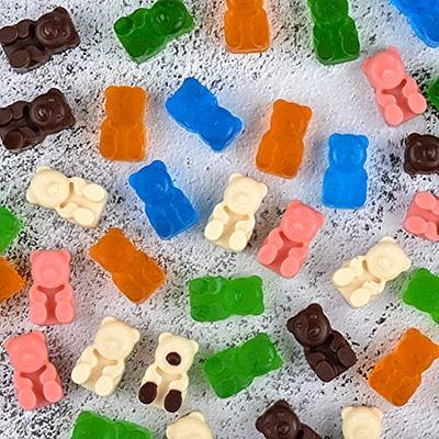 Large Gummy Bear Mold Candy Molds, Silicone Gummy Molds Chocolate Molds BPA  Free with Droppers, Set of 3 