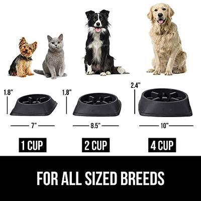 Gorilla Grip 100% BPA Free Slow Feeder Cat and Dog Bowl, Slows Down Pets  Eating