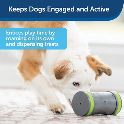 PetSafe Kibble Chase Interactive Dog Toy, Slow Feeder, Electronic Treat  Dispenser - Yahoo Shopping