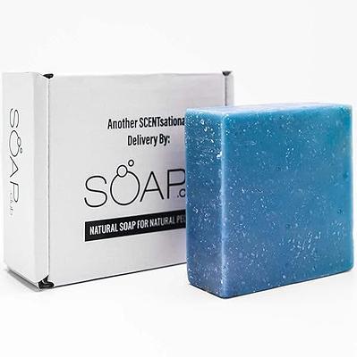 Dr. Squatch Men's All Natural Bar Soap - Fresh Falls - Clean Breeze Scent -  5oz : Target