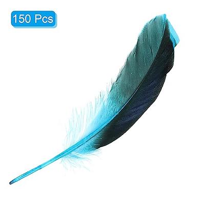 PATIKIL 4-6 Inch Natural Feathers, 150 Pack Bulk Feathers for Crafts  Carnival Handwork Clothing Costumes Wedding Party Style 1, Blue - Yahoo  Shopping