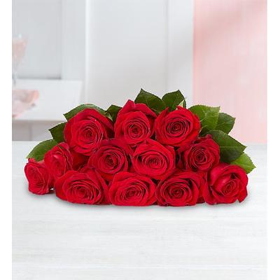 flowers red roses - Yahoo Shopping