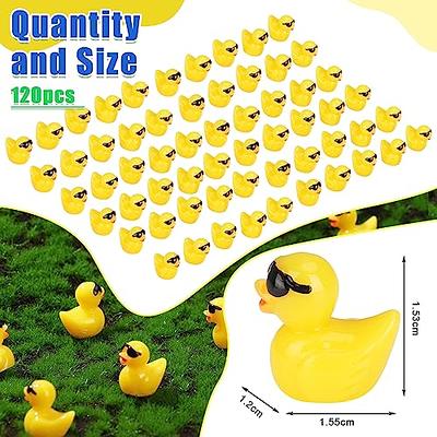 Fuyamp 120Pcs Tiny Ducks with Sunglasses Mini Resin Ducks Small Yellow Duck  Bulk Figures Miniature Dollhouse Ornament DIY Charms for Landscape Aquarium  Micro Fairy Garden Decor - Yahoo Shopping