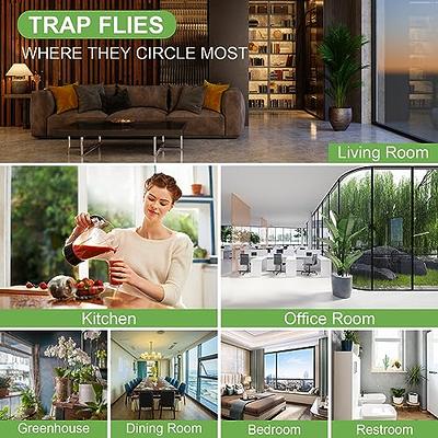 Window Fly Traps Indoor Clear 50 Pack, Sticky Indoor House Fly Trap Catcher  Killer Paper for Home Non-Toxic and Pesticide-Free