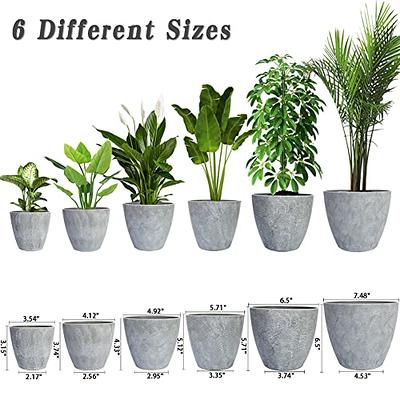 Utopia Home - Plant Pots with Drainage - 7/6.6/6/5.3/4.8 Inches Home Decor  Flower Pots for Indoor Planter - Pack of 5 Plastic Planters, Cactus