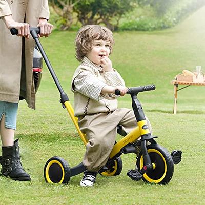 Push Tricycle with Handle - Toddler Push Tricycle