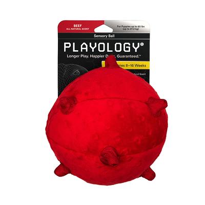 Joyhound Bite Shield, Protection Plush Lion Dog Toy - Squeaker, Crinkle, Size: Medium | PetSmart