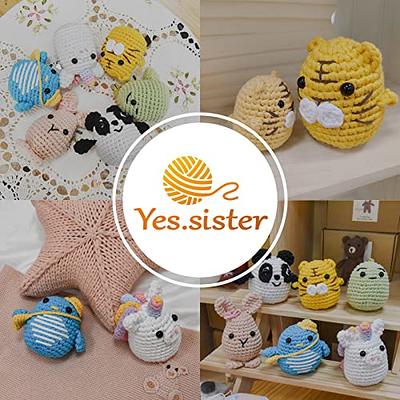  Yes sister Crochet Kit for Beginners, Crochet Kit Animals with  Easy Crocheting Yarn, Beginner Crochet Kit for Adults & Kids, Learn Crochet  with Step-by-Step Video Tutorials, Ethan The Dinosaur