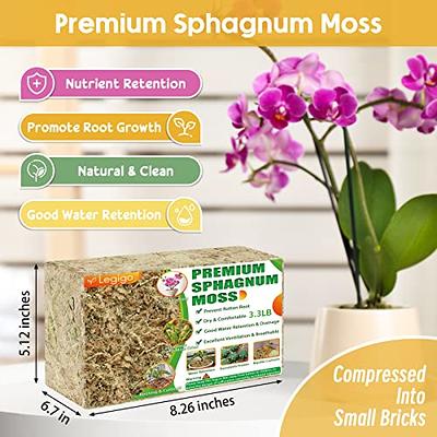 Legigo 3.3LBS Premium Sphagnum Moss for Plants- 60QT Natural Succulent  Carnivorous Plant Moss Dried, Long Fiber Orchid Moss for Orchid Repotting  Succulent Sarracenia Potted Plants Gardening & Reptiles - Yahoo Shopping