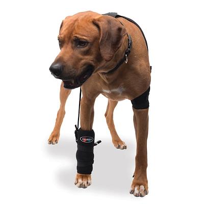  WALKEE PAWS Dog Boot Leggings, Small Dog Sizes, Seen on Shark  Tank, Adjustable Fit Protects from Hot, Cold, Wet Weather, Allergens &  Chemicals, Never Lose a Boot or Sock Again (