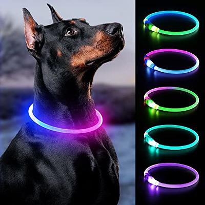  Clearance LED Dog Collar USB Rechargeable Bright