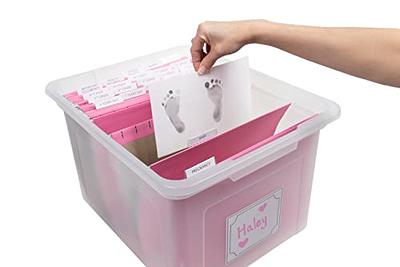 File Storage Organizer Boxes with Lids - Pink