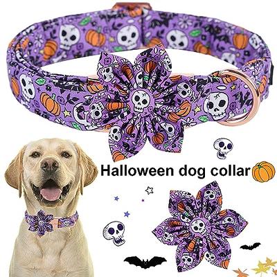 Personalized Dog Collar, Cartoon Pumpkin Dog Collar