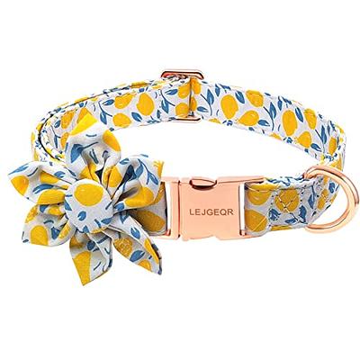 Floral Girl Dog Collar，Cotton Dog Collars for Dogs Female Dog Collar with  Flower Fall Cute Dog Collars with Quick Release Buckle Puppy Collars Pet  Dog Collar for Small Medium Large Dogs 