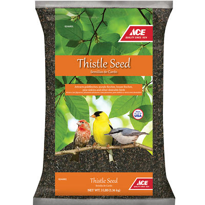 Ace Premium Assorted Species Milo and Corn Wild Bird Food 20 lb - Ace  Hardware