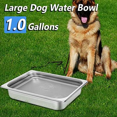 Shallow Stainless Steel Dog Bowls for Large Dogs, Perfect Food and Water  Bowls for Large, X-Large, and Huge Dogs (1.0 gallons/4 quarts) - Yahoo  Shopping