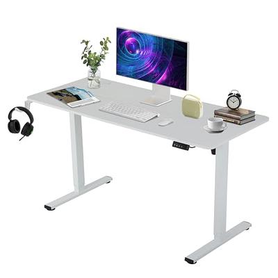 Marsail Standing Desk Adjustable Height, 48x24 Inch Electric Standing Desk  with Storage Bag, Stand up Desk for Home Office Computer Desk Memory Preset