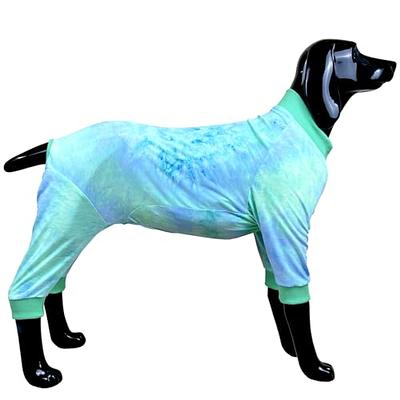 Oarencol Cute Samoyed Dog Women's Pajama Pants Blue Geometry Sleepwear XS-XL,  Multi, X-Small : : Clothing, Shoes & Accessories