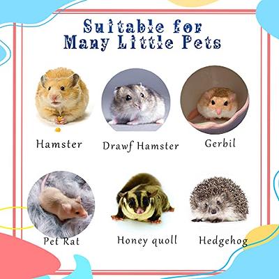 Hamsters, Gerbils, Rats and Mice