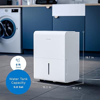  hOmeLabs 4500 Sq. Ft Energy Star Dehumidifier - Ideal for  Large Rooms and Home Basements - Powerful Moisture Removal and Humidity  Control - 50 Pint (Previously 70 Pint)