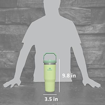 STANLEY The IceFlow 30 oz Flip Straw Tumbler - Eastern Mountain Sports