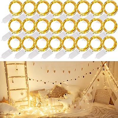 LED Mini Lantern Fairy Lights Battery 20 LEDs 3 Meters with Timer Warm  White Holiday String Lights for Outdoors and Indoors