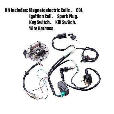 WMPHE Engine Wiring Harness, Professional 4L60E Standalone Wiring Harness,  Compatible with DBC LS1 4.8 5.3 5.7 6.0 1997 1998 1999 2000 2001 2002 2003