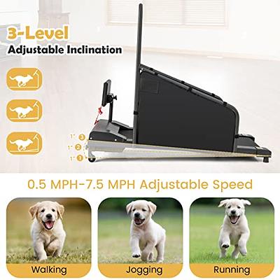 Dog Treadmill Small Dogs - Dog Treadmill and Medium Dogs - Dog