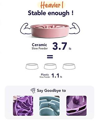 Pet Supplies : LE TAUCI PET Dog Slow Feeder Bowl Ceramic,3 Cups Puzzle Dog  Food Bowl for Small Medium Large Breed, Puppy Slow Feeder Bowl for Fast  Eater, Dog Bowls to Slow