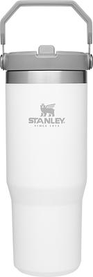 Stanley IceFlow Flip Straw Tumbler 30 oz Polar