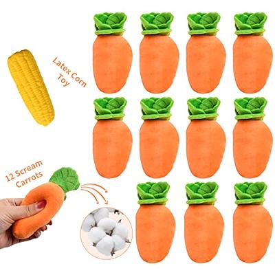 Pet Supplies : iFur 12 Squeaky Carrots Enrichment Dog Puzzle Toys, Hide and  Seek Carrot Farm Dog Toys, 13''x13'' Carrot Patch Dog Snuffle Toy for Small  Medium and Large Dogs (12 Squeaky