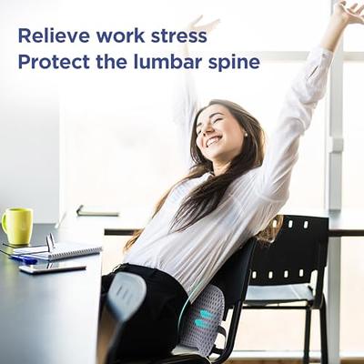 Lumbar Support Pillow for Back on Office Chair, Couch, Sofa, Car, or Bed