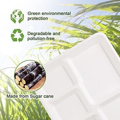 ECOLipak 150 Pack Compostable 3 Compartment Plates, Heavy-Duty Disposable  Biodegradable Paper Plates, 8.85 inch Eco-Friendly Sugarcane Bagasse  Divided