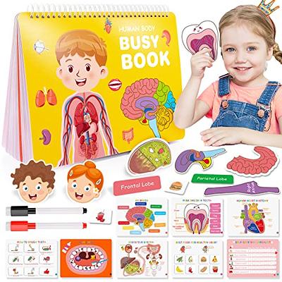 Preschool Montessori Toys for Kids, Human Body Busy Book for Kids Toys Ages  4-8 Birthday Gifts for 4-8 Year Olds Boys Girls Kindergarten Learning  Activities Educational Toys for Kids 5-7 Travel Toys - Yahoo Shopping