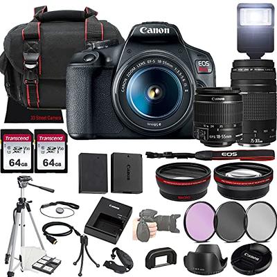  Canon EOS R8 Mirrorless Camera w/RF 24-50mm f/4.5-6.3 is STM  Lens + 2X 64GB Memory + Case + Microphone + LED Video Light + More (35pc  Bundle) : Electronics