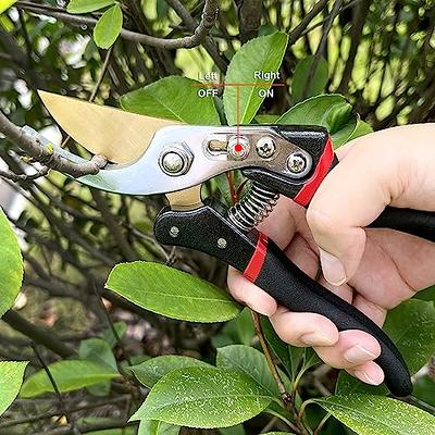 Bypass Pruning Shears - Premium Garden Shears, Heavy Duty Hand Pruners -  Ideal Plant Scissors, Branch Cutter - Ergonomic Garden Tool for Effortless  Cuts