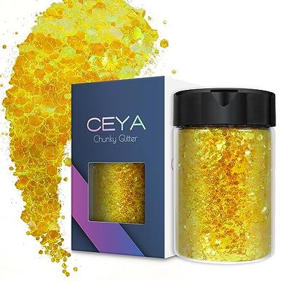  Viza Holographic Chunky Glitter, 7.8oz/220g Black Craft Glitter  for Resin Chunky Nail Flake Sequin Mixed Fine Glitter Powder Bulk  Holographic Glitter for Nail Art Tumbler Cosmetic Festival Decor : Arts,  Crafts